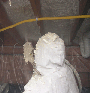 Fort Collins CO crawl space insulation